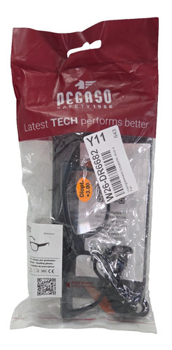 Pegaso vorprogrammierte - pegaso,